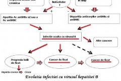 Evolutia-infectiti-cu-virusul-B
